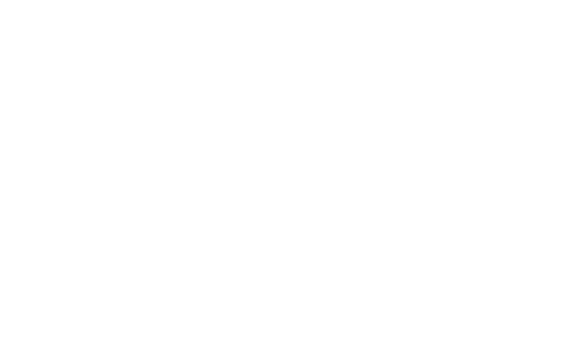 weingut-lassl logo